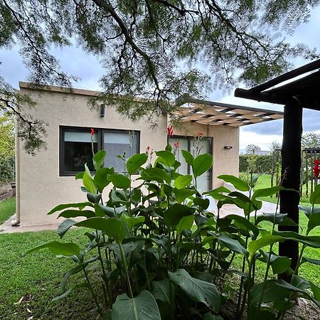 Loft Los Cerezos En Vistalba, Zona De Vinedos Y Bodegas ルハン・デ・コージョ エクステリア 写真