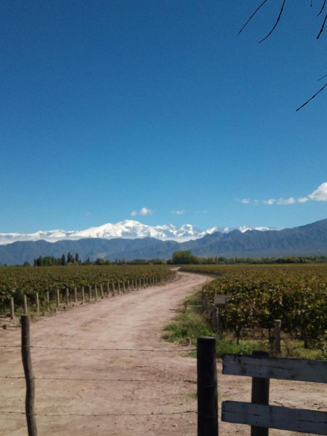 Loft Los Cerezos En Vistalba, Zona De Vinedos Y Bodegas ルハン・デ・コージョ エクステリア 写真
