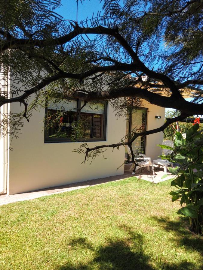 Loft Los Cerezos En Vistalba, Zona De Vinedos Y Bodegas ルハン・デ・コージョ エクステリア 写真